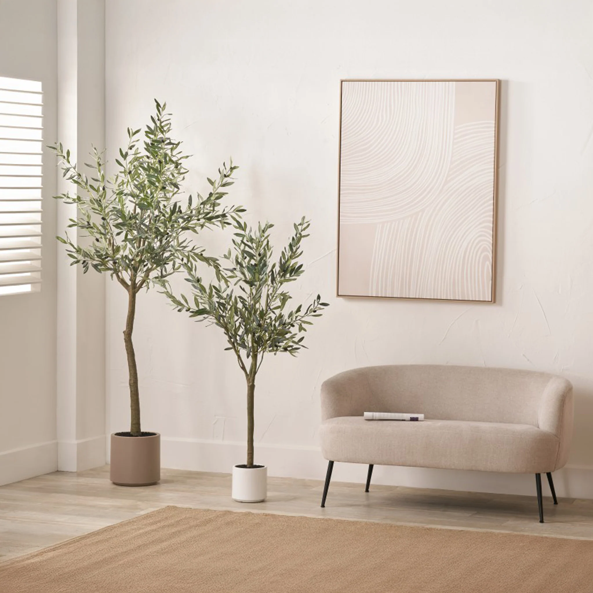 Large Olive Tree - Image 6